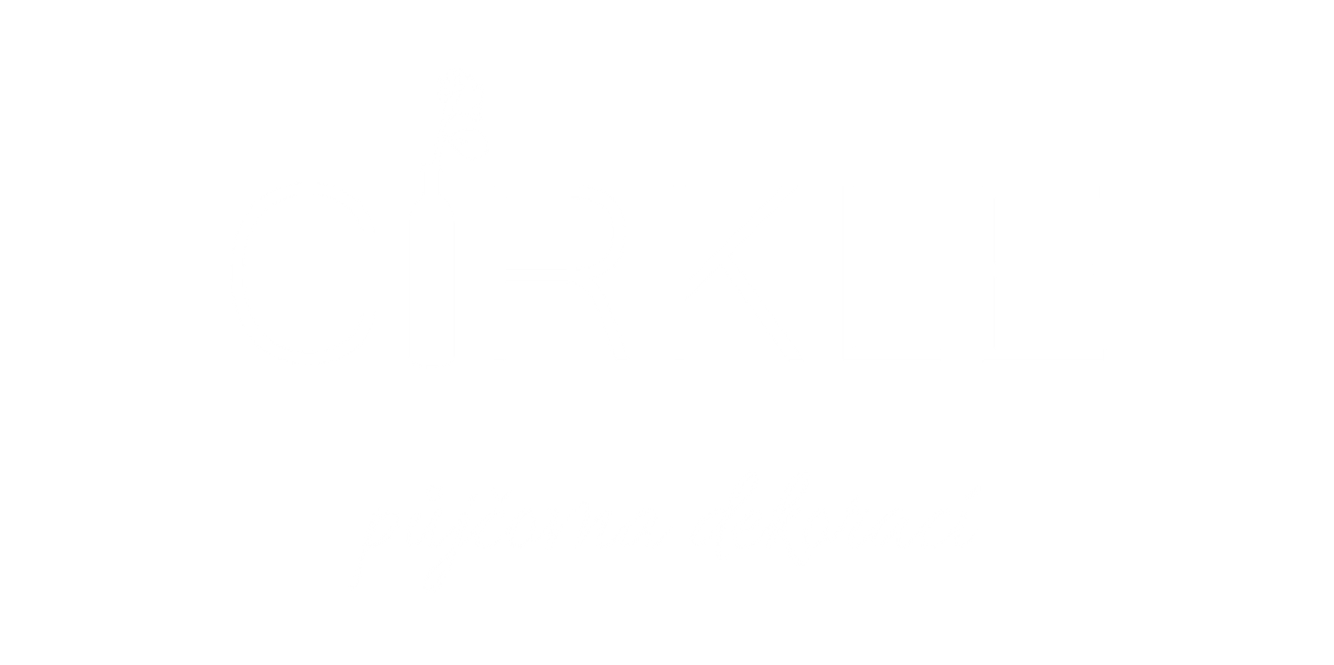 cirkle brand bila 04 scaled